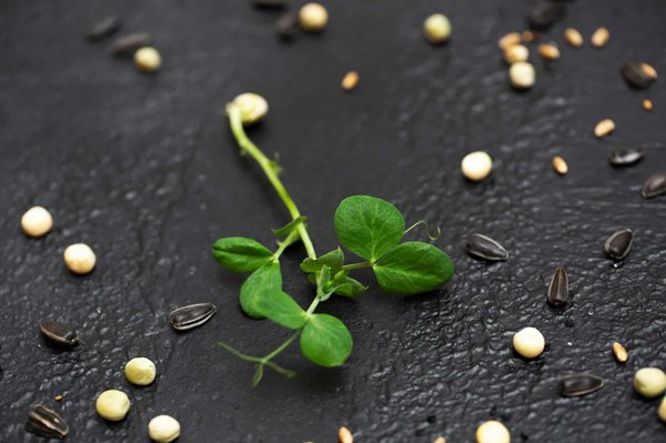 What's the Latest in Microgrid Technology for Disaster-Resilient Energy Systems?